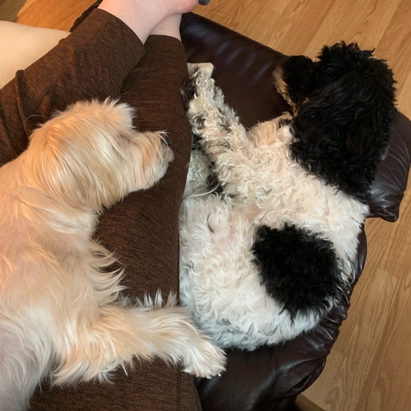 Meet your Posh Ambassador, ST! - Picture 4 of 7